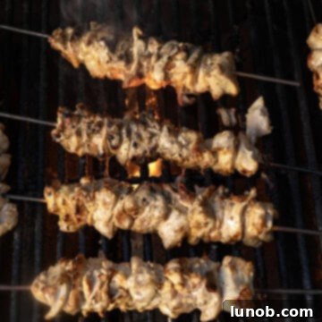 Savory Garlic Parmesan Chicken Skewers 8 Skewers cooked on the grill.