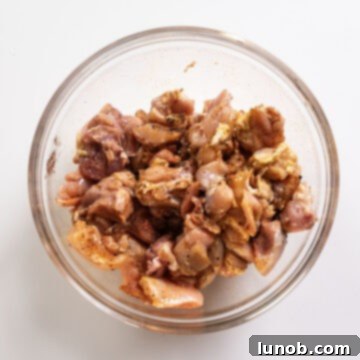 Dynamite Chicken Skewers 6 Boneless chicken thighs tossed with olive oil and a blend of savory seasonings in a large bowl.