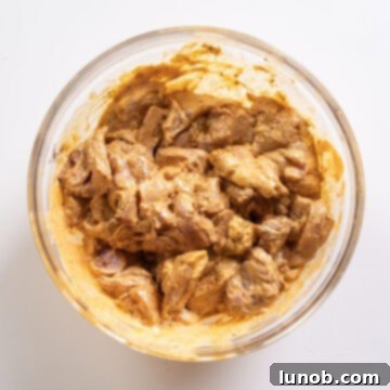 Dynamite Chicken Skewers 7 Chicken thighs marinated in a rich, spicy chipotle mayo and seasoning mixture.