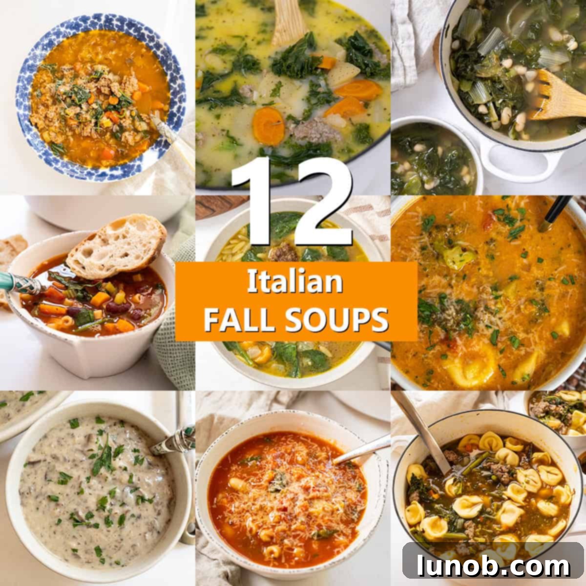 A comforting bowl of classic Italian soup for fall, garnished with fresh herbs and a slice of bread.