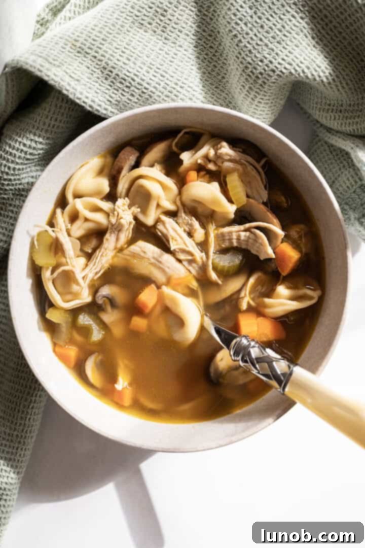 Soothing chicken tortellini soup in a warm bowl, perfect for a chilly day.