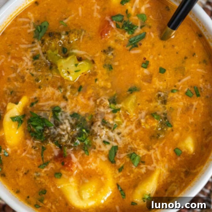 Creamy rustic Italian tortellini soup with sausage, topped with grated Parmesan cheese.