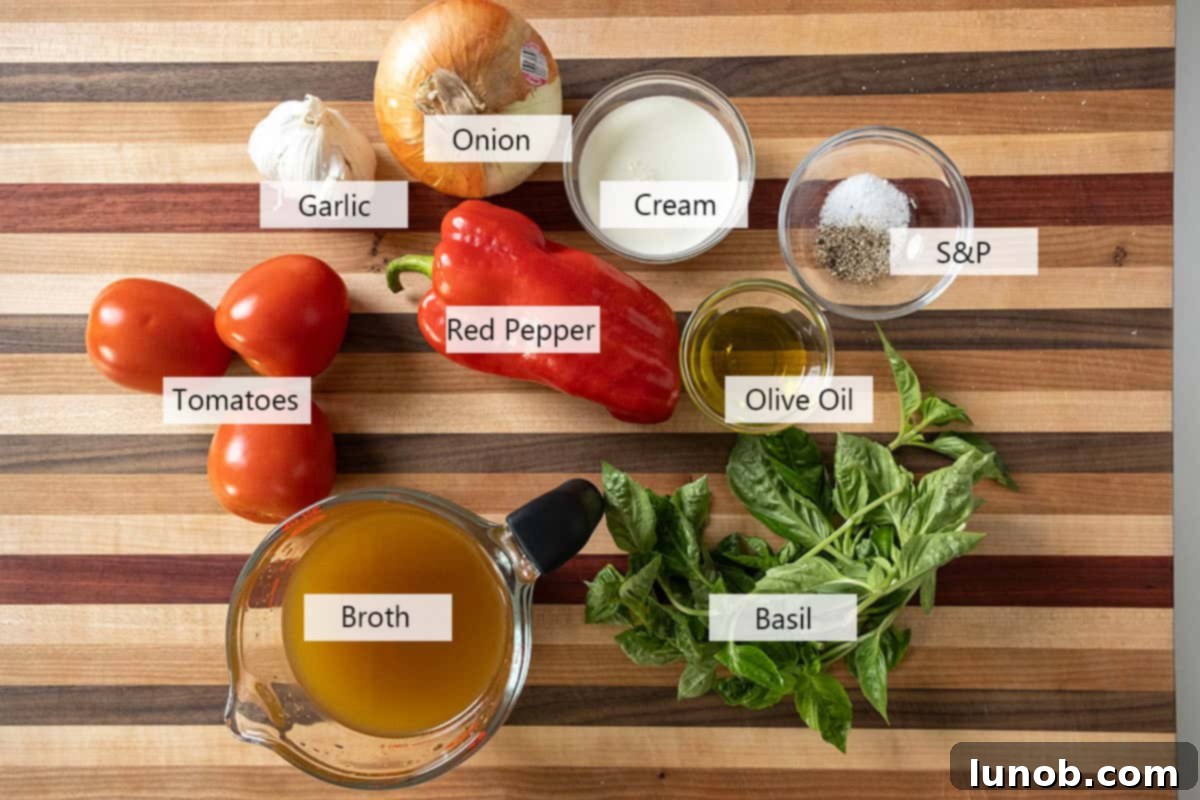 Rich Roasted Garlic and Tomato Cream Soup 3 An overhead shot showcasing the fresh ingredients for the roasted tomato soup: assorted tomatoes, a head of garlic, an onion, a red pepper, and a bunch of fresh basil.