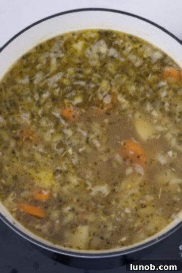 Dried herbs and potatoes being stirred into simmering broth in a Dutch oven.