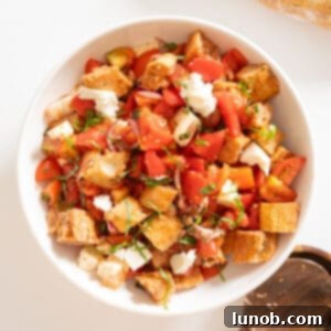 A rustic bowl filled with Traditional Panzanella Salad, featuring soaked bread, ripe tomatoes, and fresh basil.