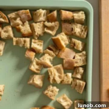 Dried bread cubes spread evenly on a baking sheet, freshly removed from the oven and cooling.