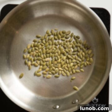 Velvety Pumpkin Pasta 4 Pumpkin seeds being toasted in a small saucepan over medium-high heat until fragrant and slightly browned.