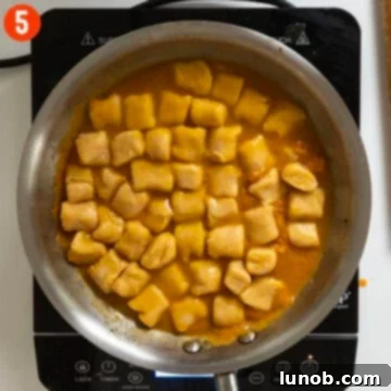 Pumpkin Gnocchi Perfection 8 Gnocchi being added to the creamy pumpkin sauce in a pan.